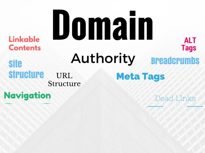 Authority domain improve ways website