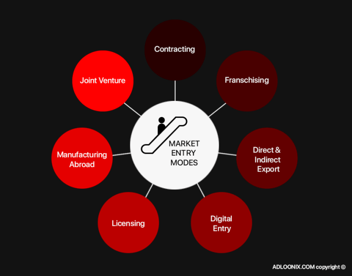 Market Entry Strategies