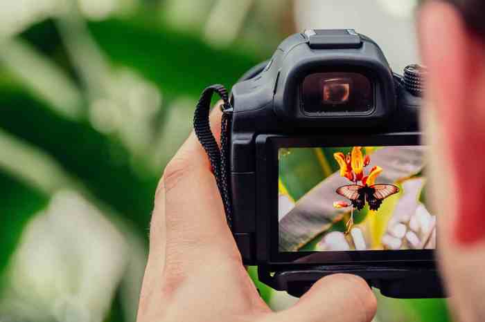 Photography Tips for Beginners