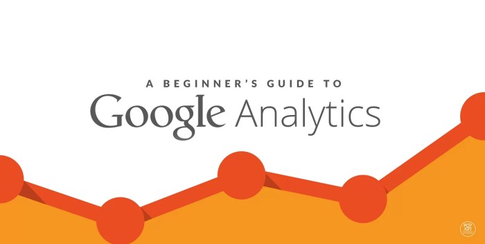 Google Analytics Guide