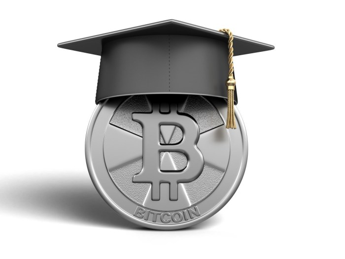 The Importance of Education in Crypto Investment