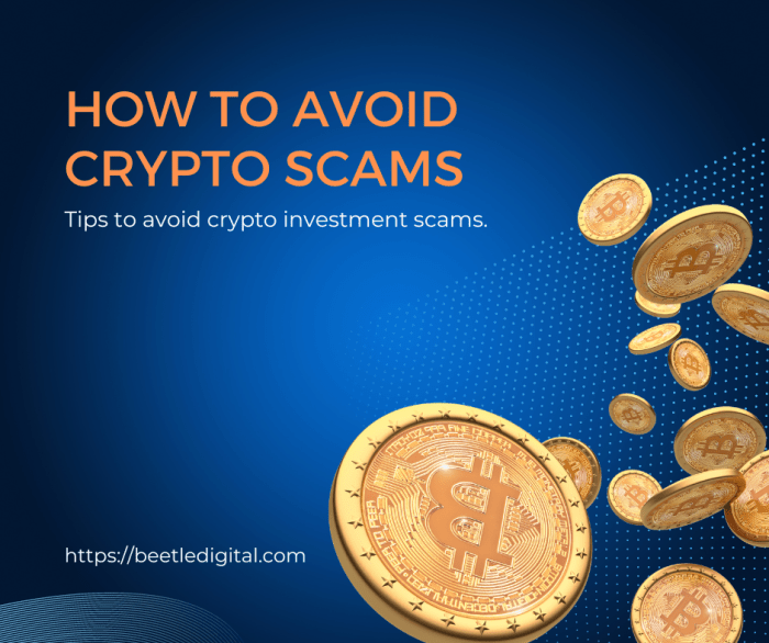 How to Avoid Crypto Investment Fraud